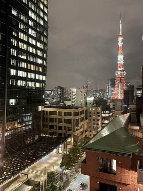 東京自住物業精選 麻布台高端住宅區公寓吉室中 即買即住